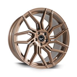 BARRACUDA DRAGOON Higloss-Bronze